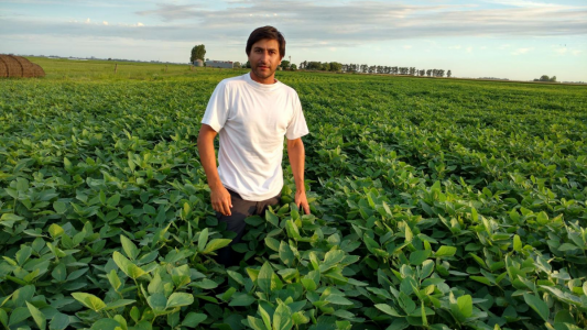 Rama negra: cómo aprovechar tecnologías disponibles para aplicaciones más eficientes