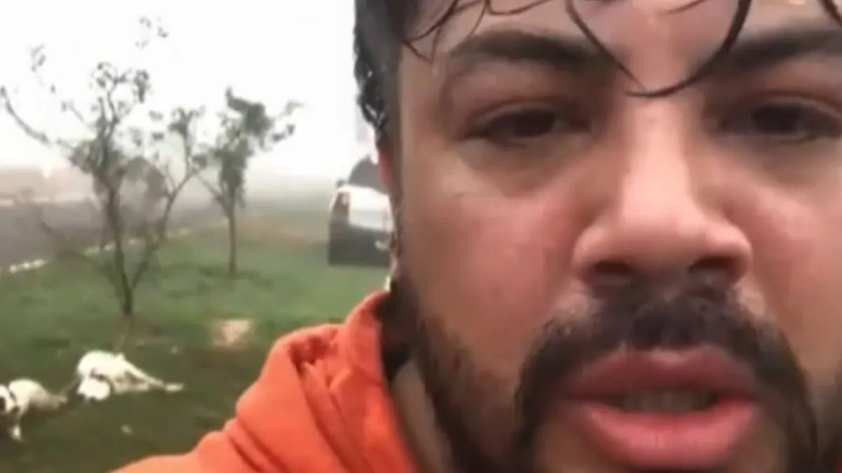 Pudo resistir con &eacute;xito la embestida de dos peligrosos pitbulls.