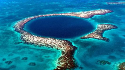 Por primera vez llegan hasta el fondo del Gran Agujero Azul del Caribe: los sorprendentes hallazgos