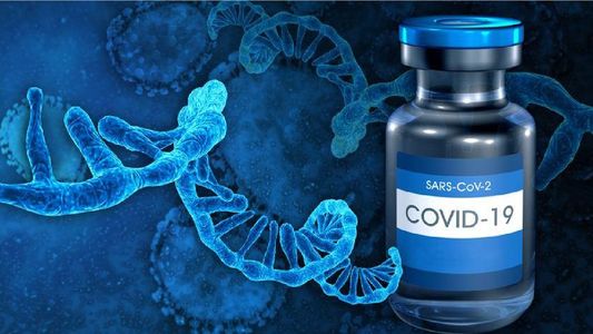 Afirman que las vacunas de Pfizer y Moderna pueden generar inmunidad persistente