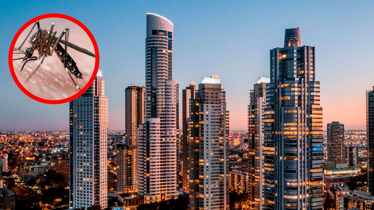 El mosquito del dengue puede llegar a edificios altos