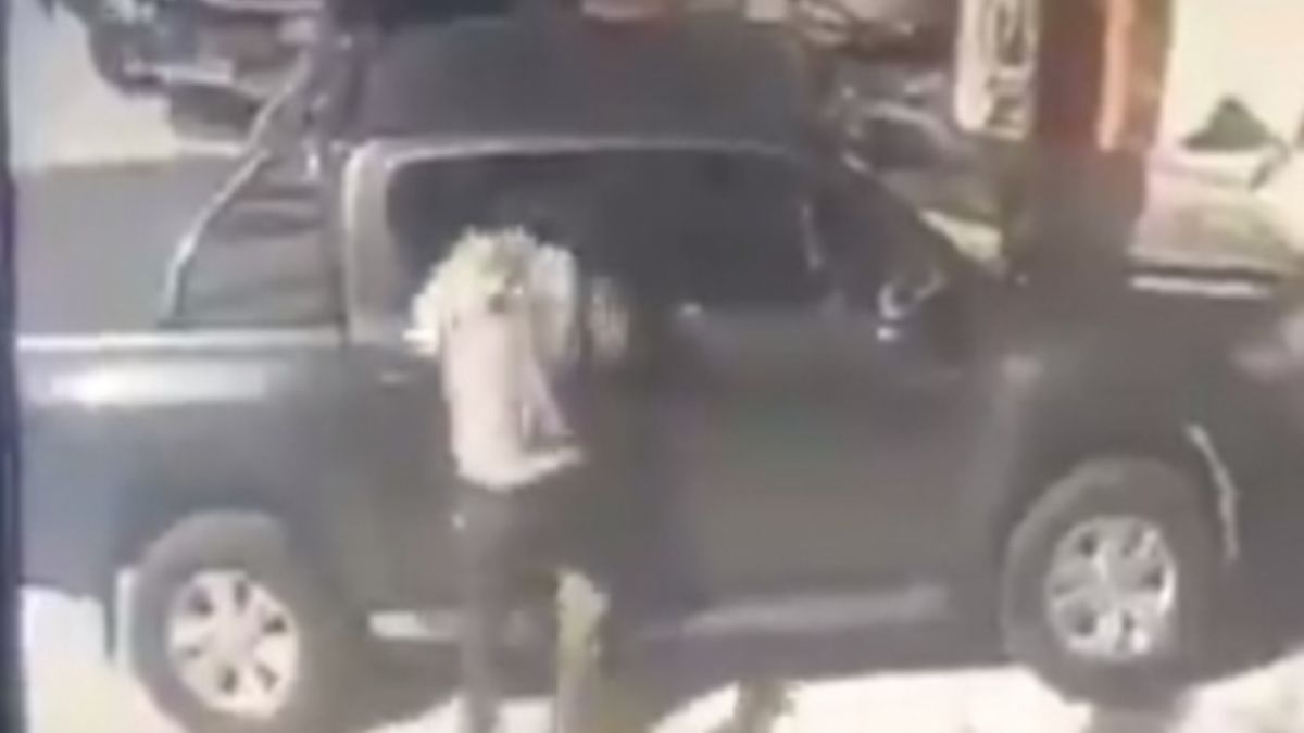 El perro justiciero saltó y mordió al ladrón cuando cometía el asalto.
