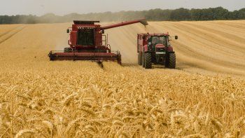 Advierten por márgenes más ajustados y un escenario internacional volátil para la próxima campaña agrícola