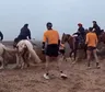 ¡Sacalos!: jinetes atacaron con piedras y fustas a un grupo de corredores