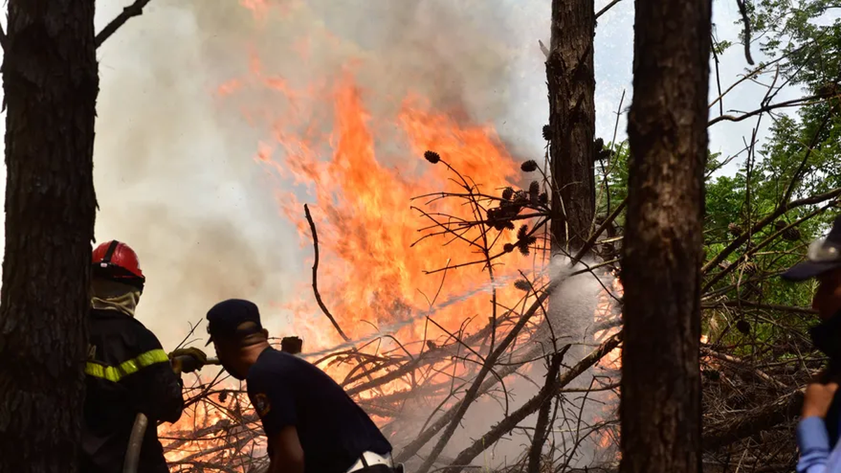 Incendios en Corrientes: el fuego vuelve a afectar a los Esteros del Iberá (Foto: Marcelo Rodriguez/El Territorio).