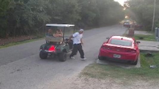 Lloraba, gritaba mi nombre: la brutal batalla entre 2 pitbulls y 2 hombres que terminó en muerte