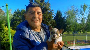 La furia de las hermanas Maradona con el informe de la Junta Médica
