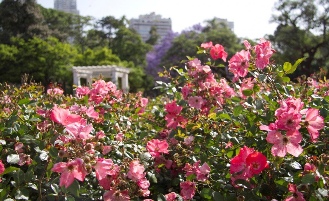 Equinoccio de Primavera 2019. ¿Qué es y cuándo ocurre?