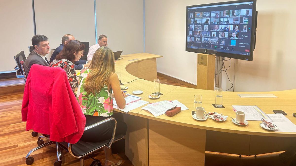 La ministra de Trabajo en el Consejo del Salario (Foto: min. trabajo)