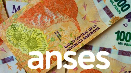 Aumenta SUAF de ANSES: a cuánto se fueron las Asignaciones Familiares en JULIO