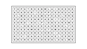 Encontrá la frase escondida: 13 palabras ocultas en una matriz