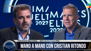 Cristian Ritondo en Animales Sueltos: Este es el último gobierno kirchnerista (Foto: captura de TV).