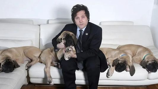 Cuántos perros tiene Javier Milei: A Adorni le preguntaron por las mascotas del presidente y dio una insólita respuesta