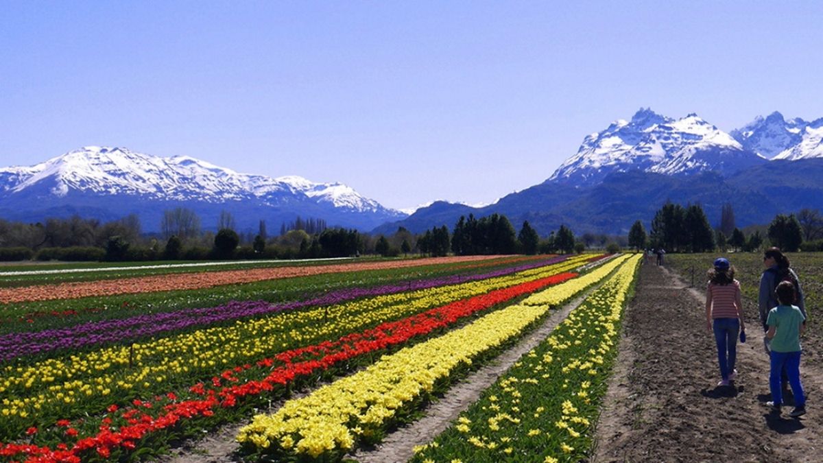 Trevelin (Chubut)