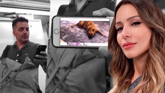 Pampita le hizo una broma a Ángel de Brito y el conductor entró como un caballo