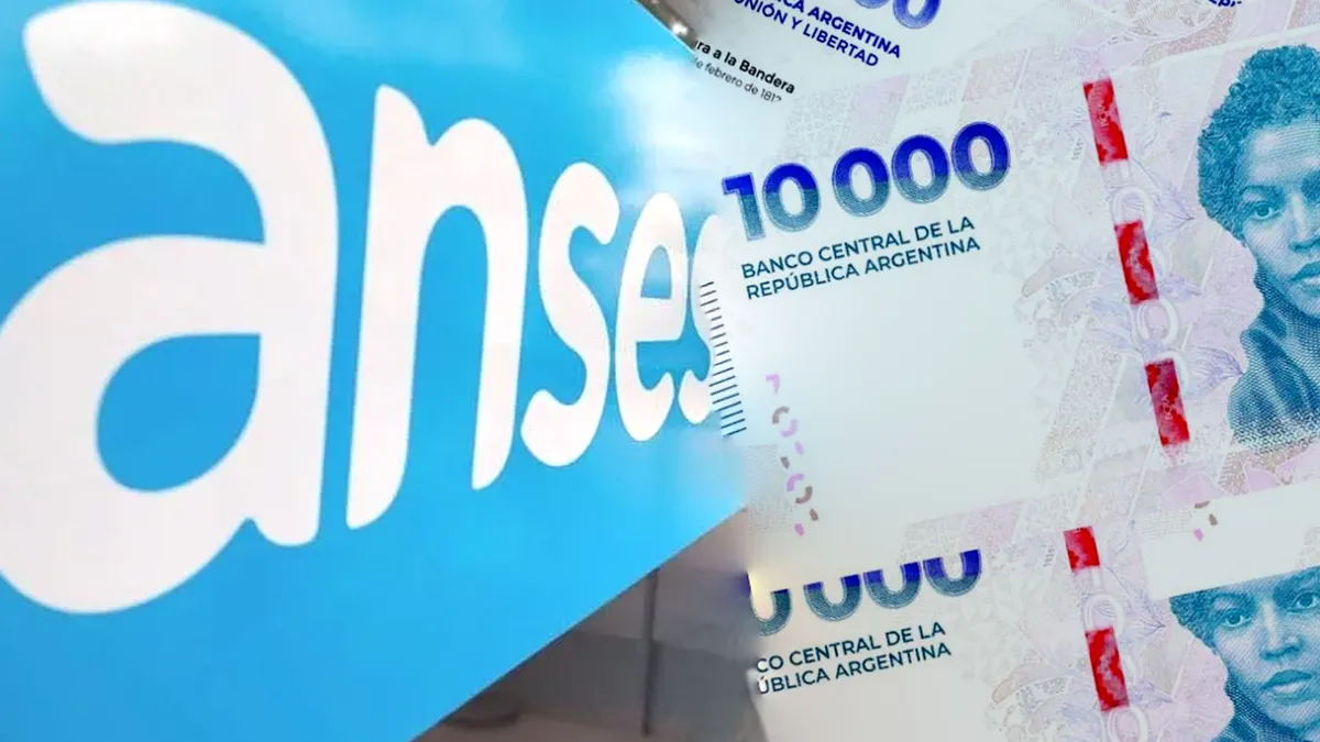 Tarjeta Alimentar y SUAF de ANSES: cómo acceder a los $316.000 de MAYO (Foto: archivo)