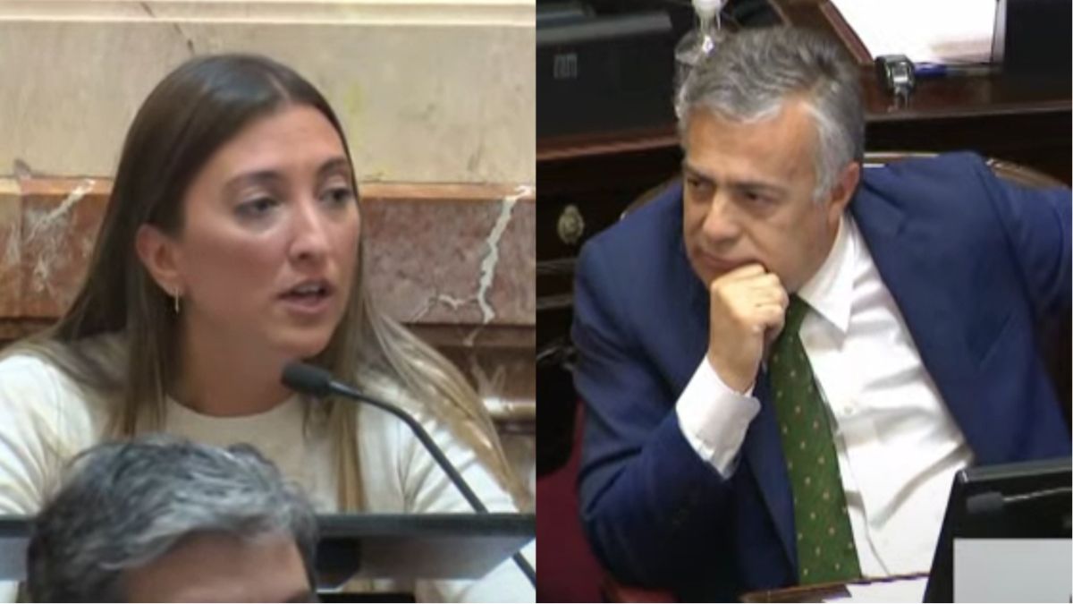 La senadora María Eugenia Catalfamo apuntó contra el senador Alfredo Cornejo. (Captura)