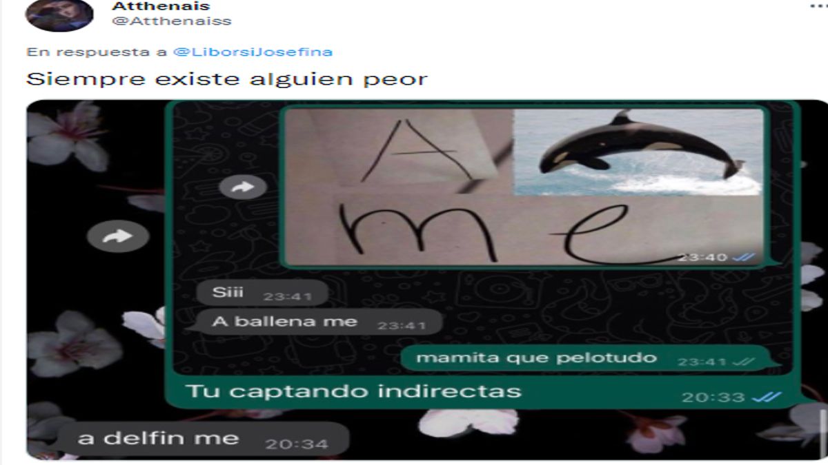 Una joven mandó un meme sexual, pero el chico no lo entendió y su respuesta  es furor