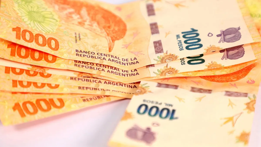 Sergio Massa confirmó un nuevo bono de Anses financiado con el dólar soja: ¿quiénes lo recibirán?