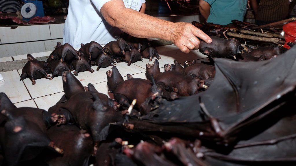 Wuhan prohíbe el consumo de animales salvajes, señalado como el origen de la pandemia de COVID-19