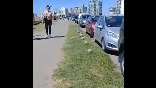 Le hicieron una multa por estacionar en una rampa para discapacitados: ¿Ustedes ven alguna rampa acá?