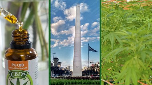 Presentaron CannaBA, la empresa estatal para producir derivados del cannabis en la Ciudad de Buenos Aires