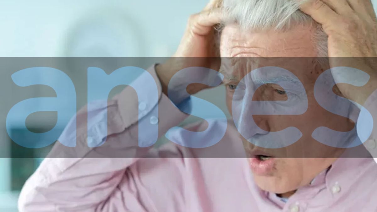 ALERTA JUBILADOS: ANSES confirmó que este grupo deja de cobrar el BONO de $70.000 en febrero 2025 (Foto: archivo)
