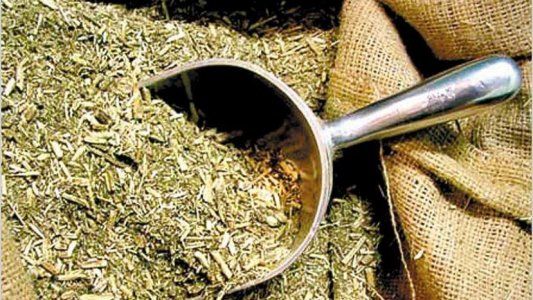 Corrientes: cayó por trasladar paquetes de yerba con sorpresa