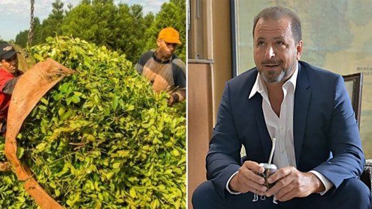 Productores de yerba mate en contra del nuevo precio fijado por el Gobierno: favoreció a los monopolios