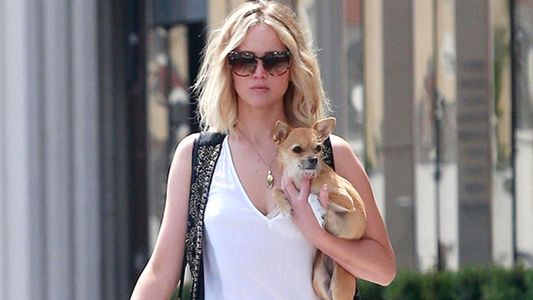 Jennifer Lawrence insultó terriblemente a un paparazzi que intentó acariciar a su perrita