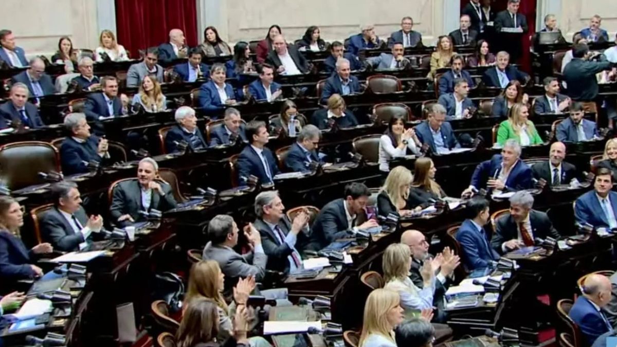 Con 249 votos Diputados votó el cronograma de tratamiento de la ley para prorrogar&nbsp; hasta 2027 la emergencia en Discapacidad Foto: (captura Diputados TV)