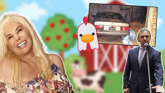 Marcos Di Palma defenestró a Susana: Ella en un gallinero encontró un Mercedes Benz