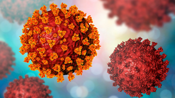 Endemia, epidemia y pandemia: ¿cuál es la diferencia entre estos conceptos?