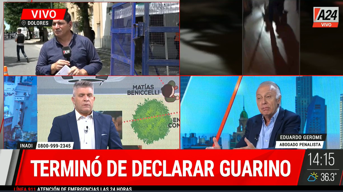Juan Pedro Guarino declaró en los  tribunales de Dolores (Foto: captura de video).