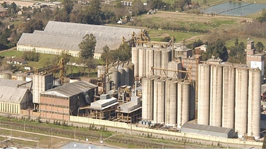 Molino Cañuelas confirmó que seguirá operando normalmente a pesar del concurso