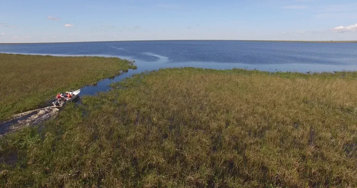 ¿Cómo llegar a los Esteros del Iberá?