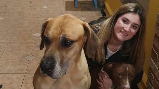 Un perro se perdió en una isla y, 7 meses después, regresó