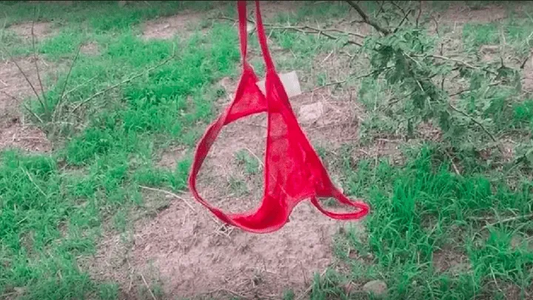 Buscan a la tangacienta: se olvidó la bombacha en una plaza e iniciaron una campaña para encontrarla