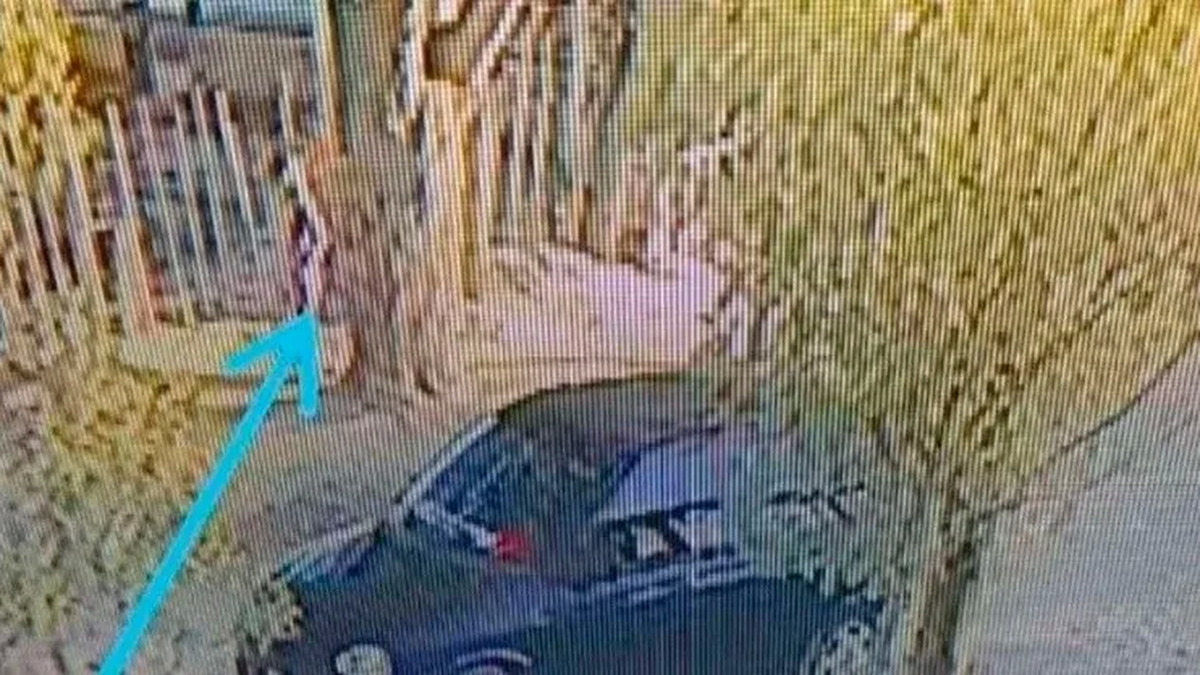 Por cámaras de seguridad identificaron al acusado de secuestro y abuso 