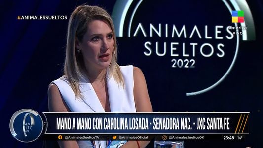 Carolina Losada, en Animales Sueltos: Si voy a ser candidata a gobernadora de Santa Fe es porque haré una revolución