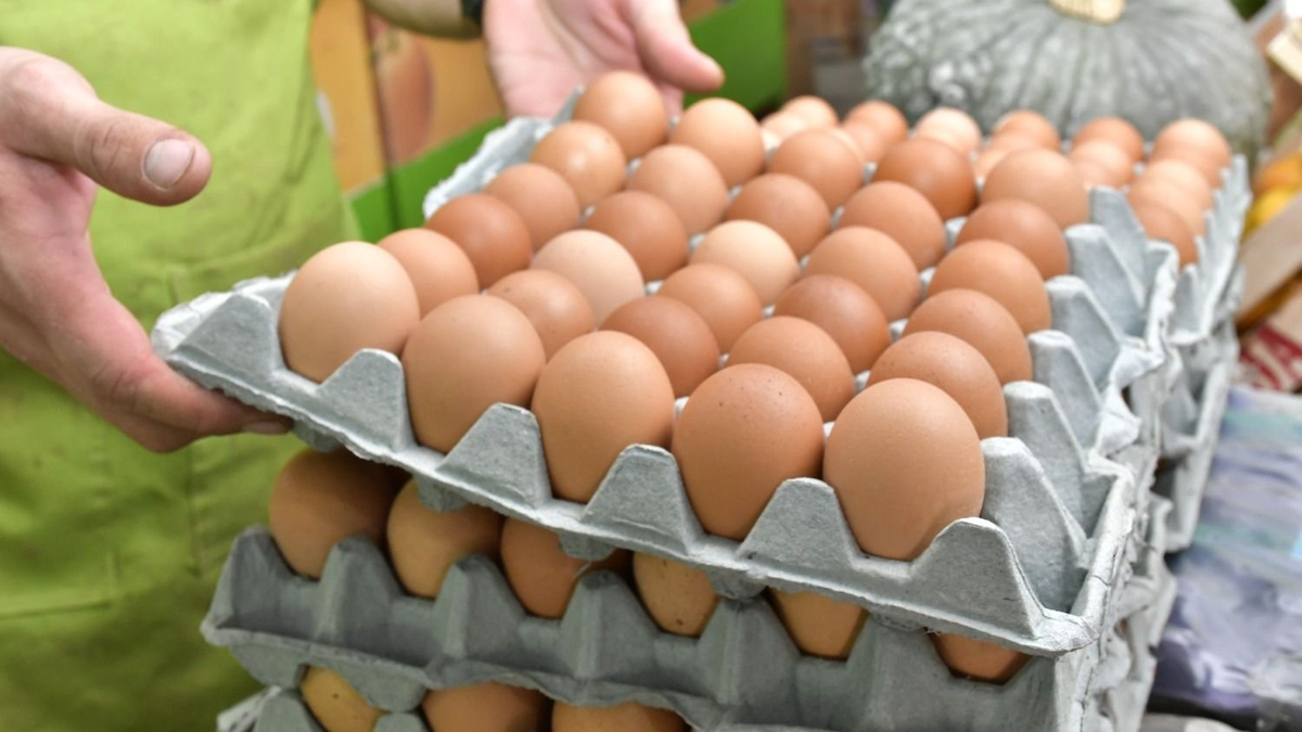 Cuantos huevos trae un maple
