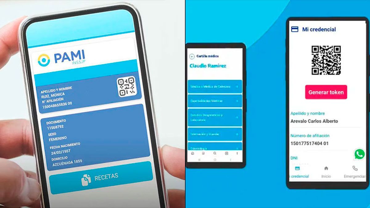 En la Administración Nacional de la Seguridad Social (Anses) se puede solicitar este reintegro online.
