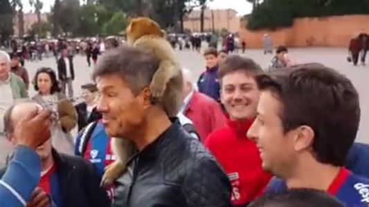 El mono le trajo suerte a Tinelli: ganó San Lorenzo y es finalista