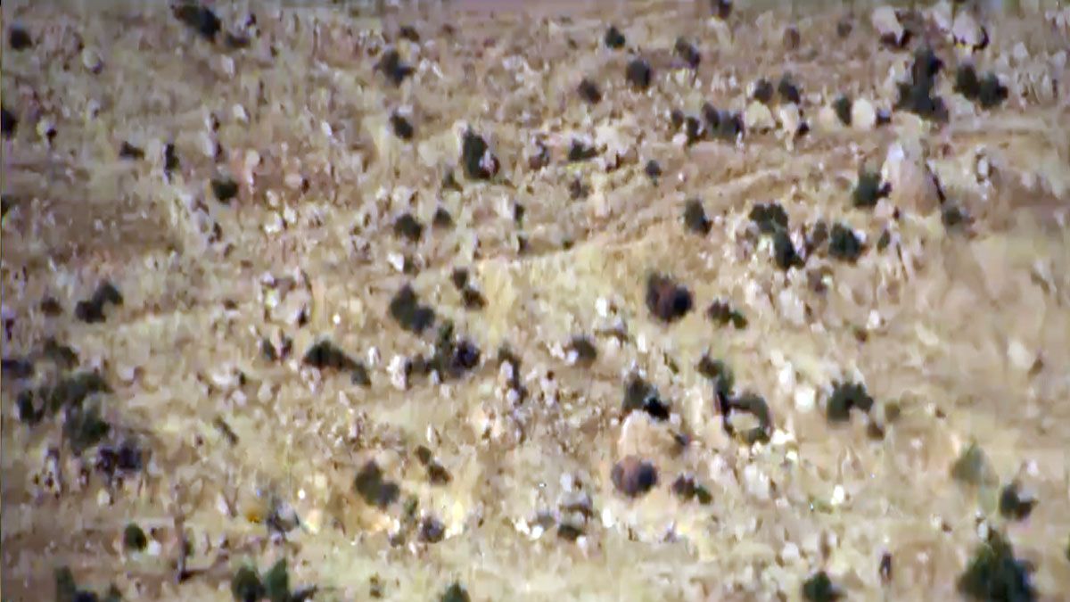 El cambio climático convertirá en desiertos áreas actualmente dedicadas a la agricultura y producción de alimentos (Foto: IPCC).