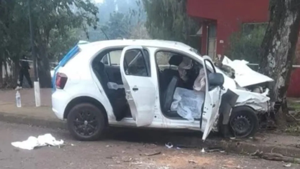 El auto en el que viajaba Luisana se estrelló contra un árbol. Ella y el conductor murieron en el acto (Foto: gentileza Misionesonline.net)