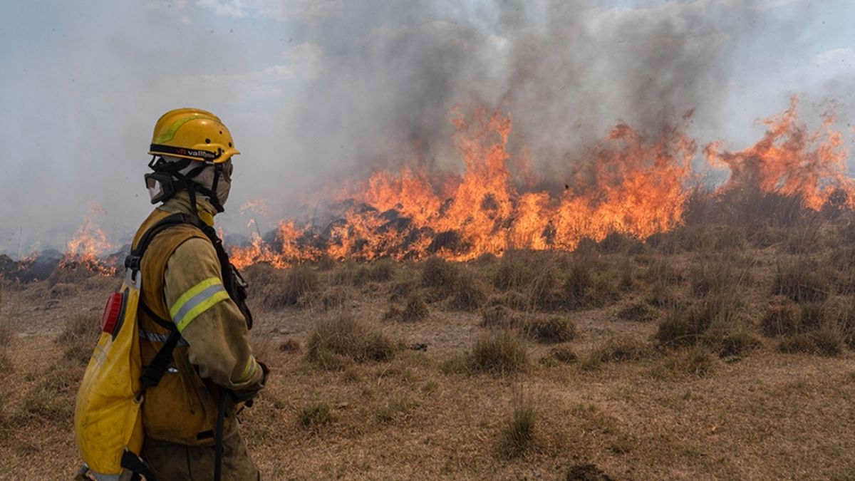 Al menos siete provincias registran focos de incendios forestales activos. (Télam)