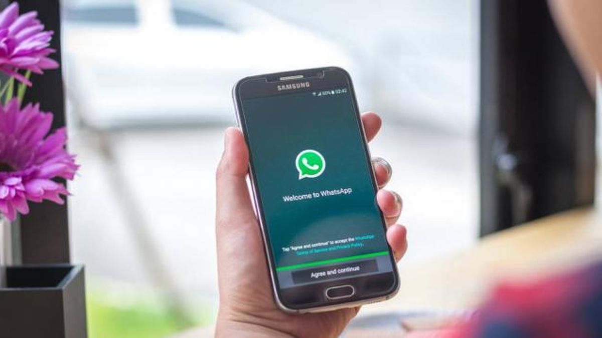 Whatsapp permitirá enviar videos sin bajar la calidad