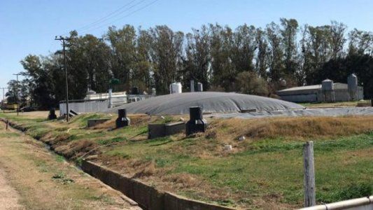 Biogás en Argentina: convertir un problema ambiental en solución