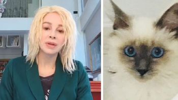 Poroto, el gato de Nacha Guevara, nuevo influencer