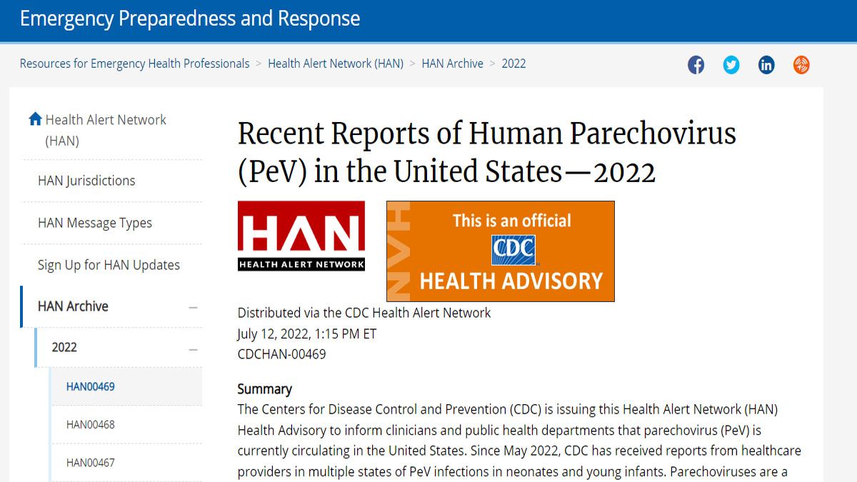 Alerta por un virus contagioso y peligroso  para bebes de hasta 3 meses (Foto: CDC)